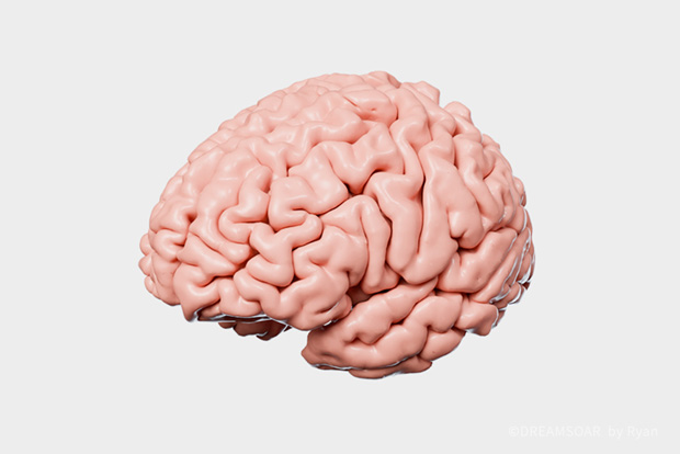 图片丢失 DREAMSOAR