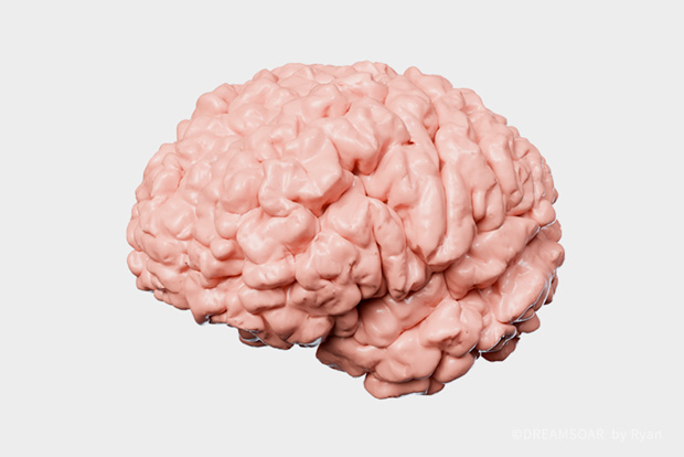 图片丢失 DREAMSOAR