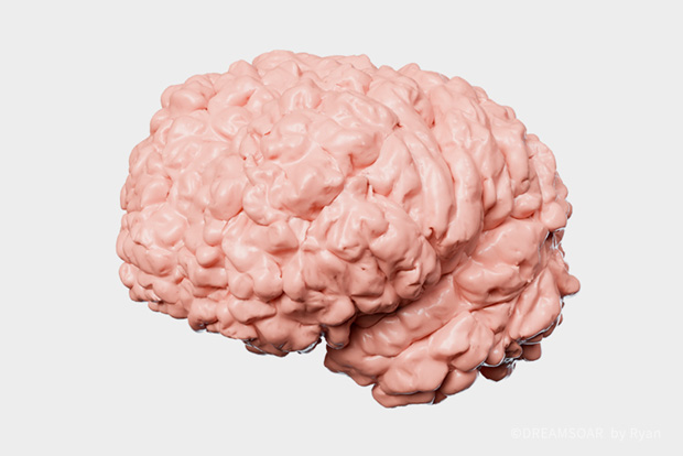 图片丢失 DREAMSOAR